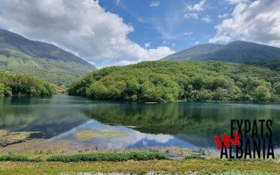 Home Navigating Your Expat Journey – Finding Support