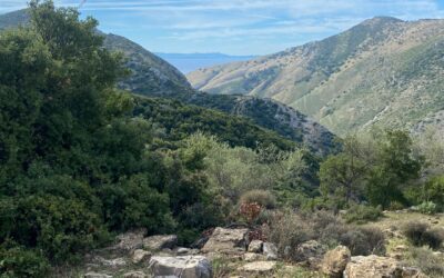 South Coast hiking, rocky hills with trees and bushes. south of Albania.