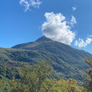 Silent Fasting Retreat